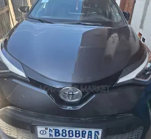 Toyota C-HR 2021 Gray