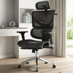 Office Furniture Ergonomic Chair [Full Mesh]