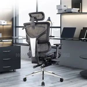 Office Furniture Ergonomic Chair [Full Mesh]