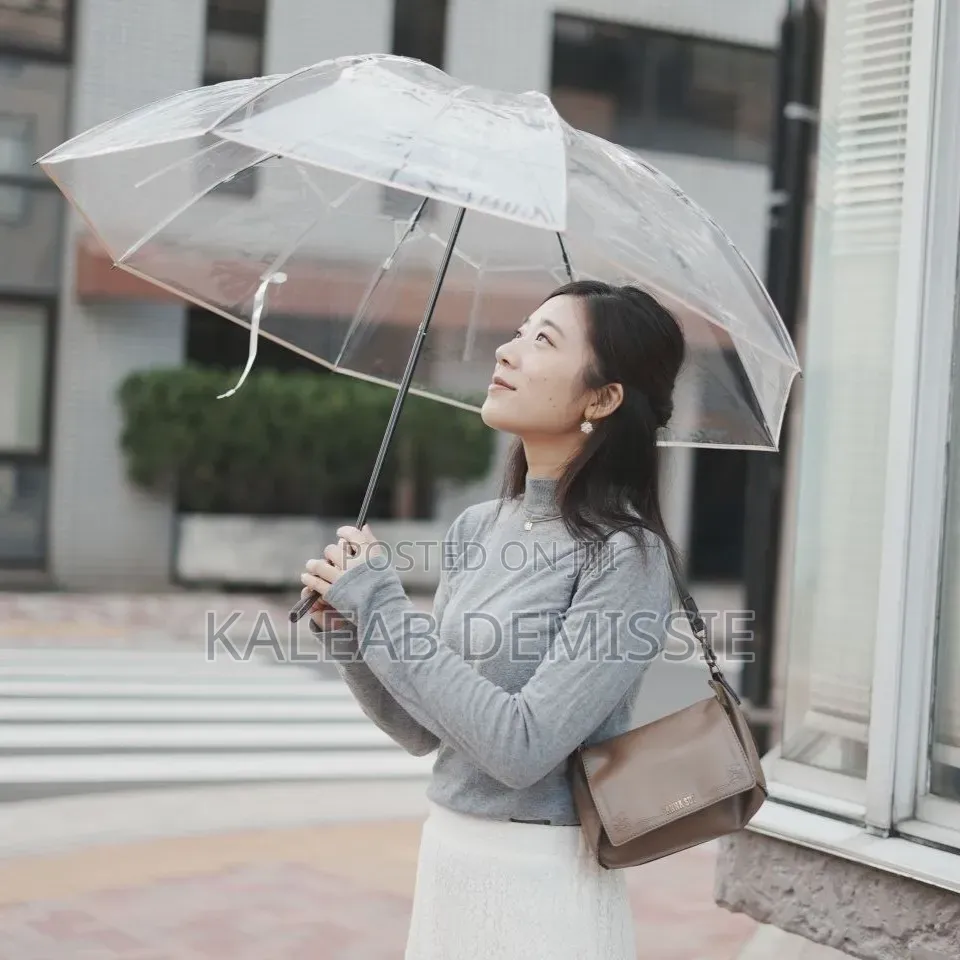 Transparent Umbrella