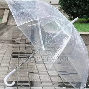 Transparent Umbrella