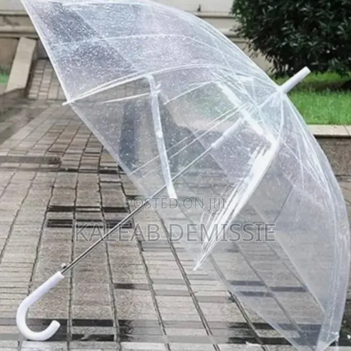 Transparent Umbrella