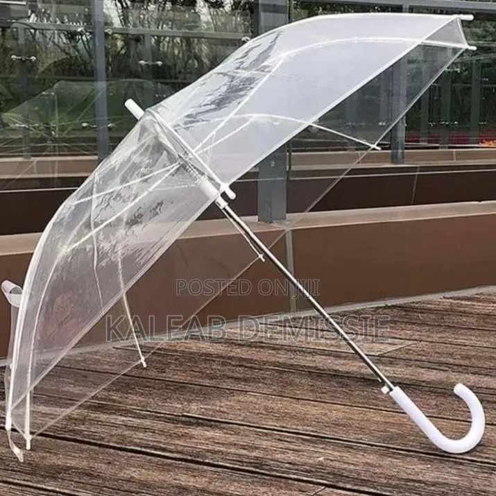 Transparent Umbrella