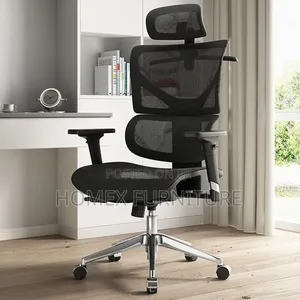 Office Furniture Ergonomic Chair [Full Mesh]