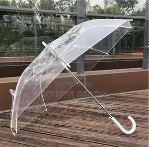 Transparent Umbrella