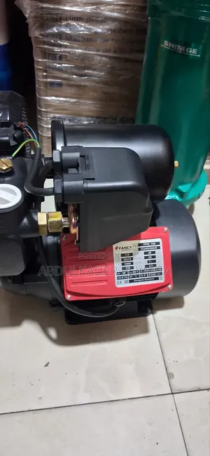 Automatic Buster Water Pump
