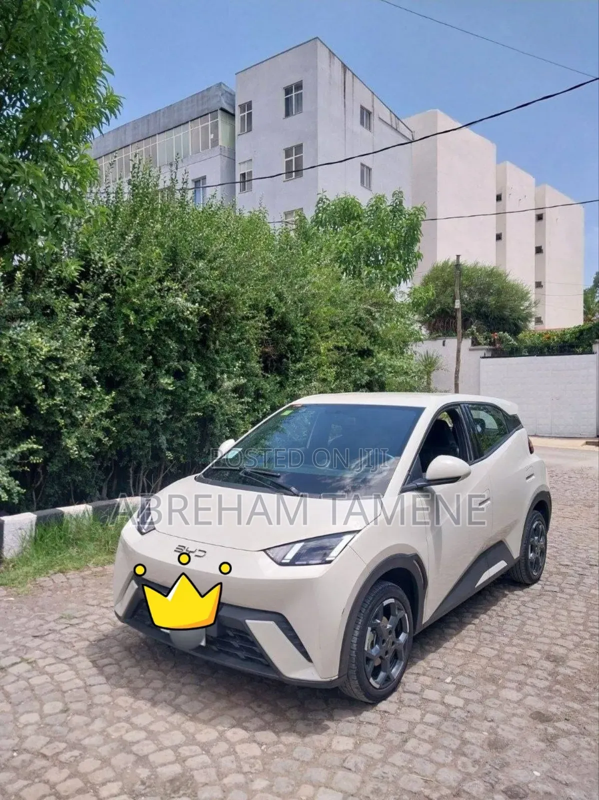 BYD Seagull 38 kWh FWD 2024 Off white