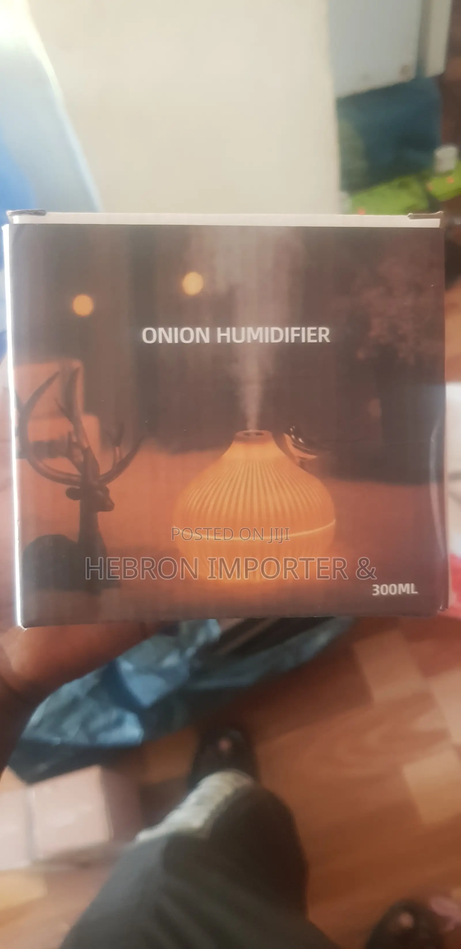 Onion Style Humidifier Essential Oil Diffuser (300ml)