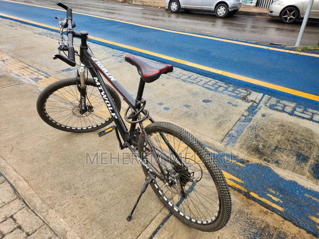 Bicycle Mtwolff