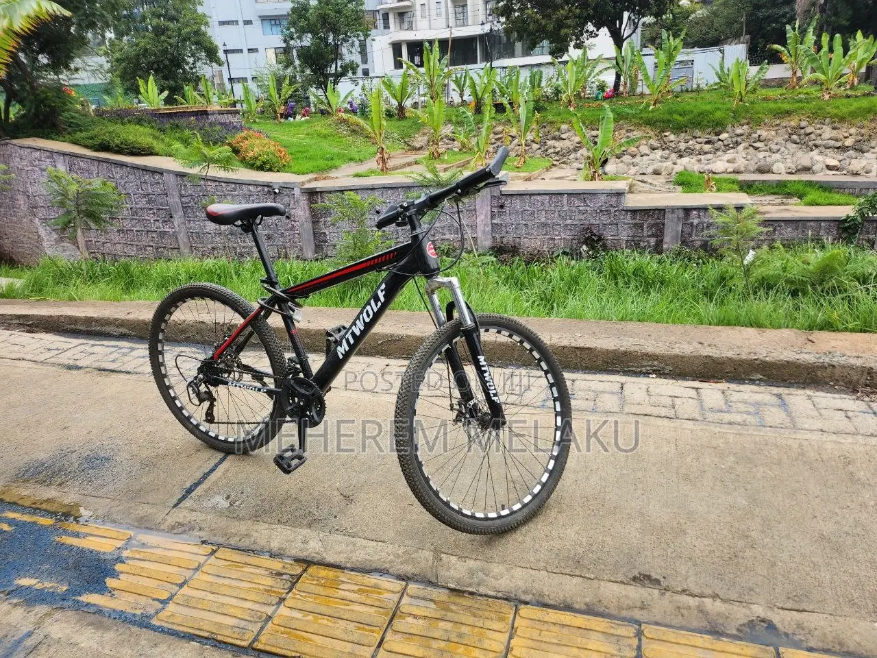 Bicycle Mtwolff