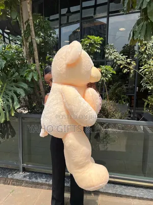 Teddy Bear Quality Foreign