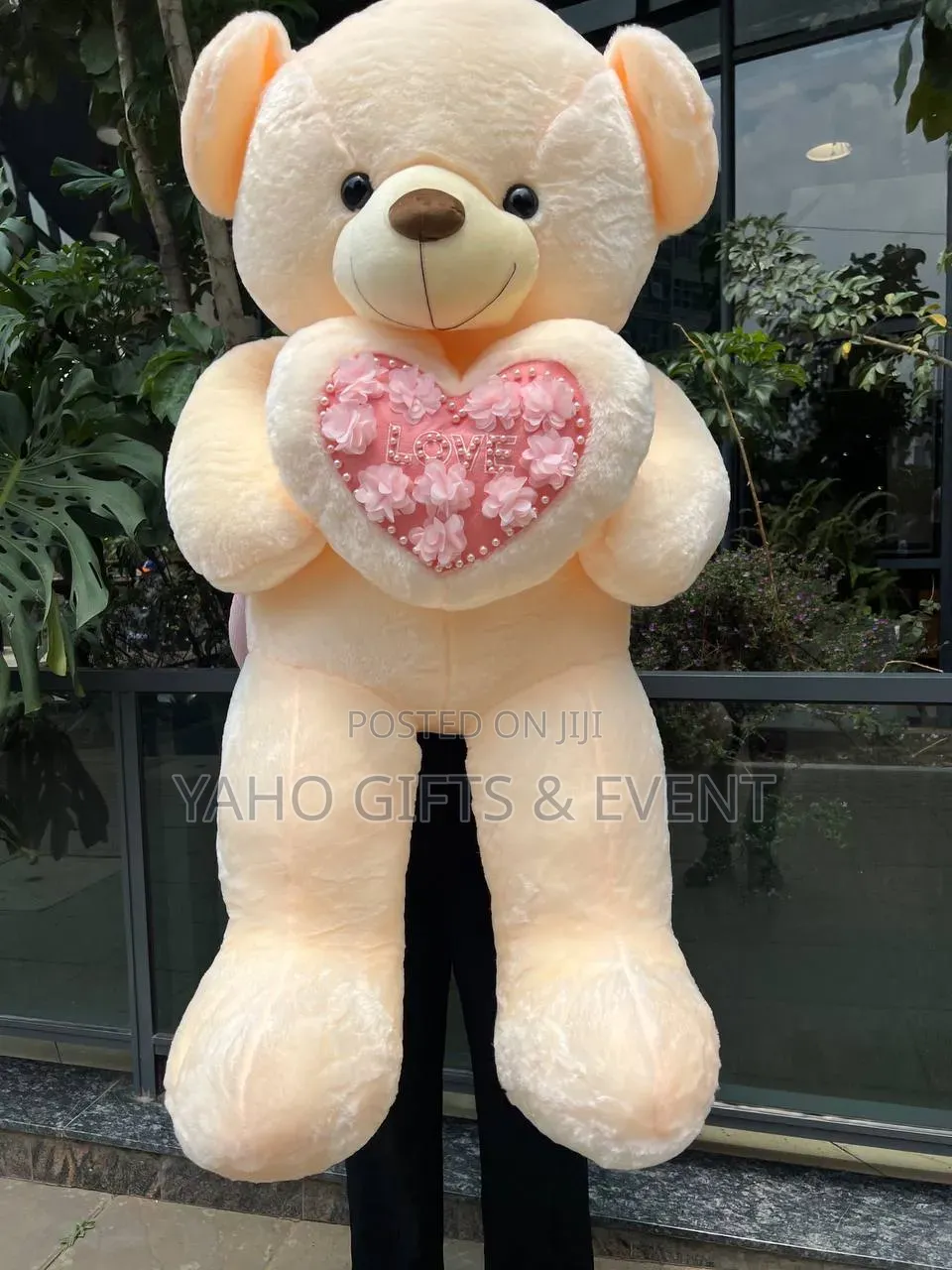 Teddy Bear Quality Foreign