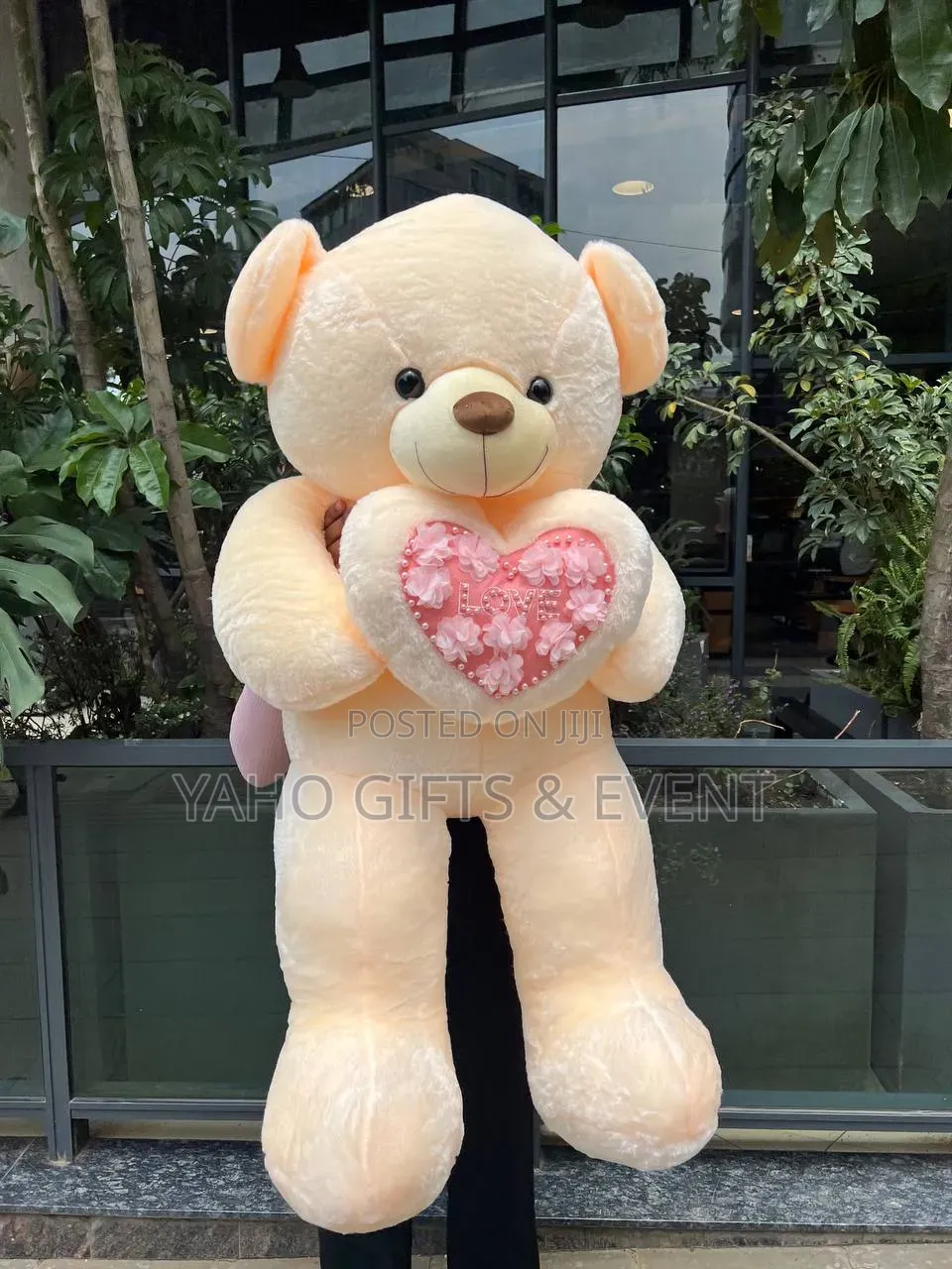 Teddy Bear Quality Foreign