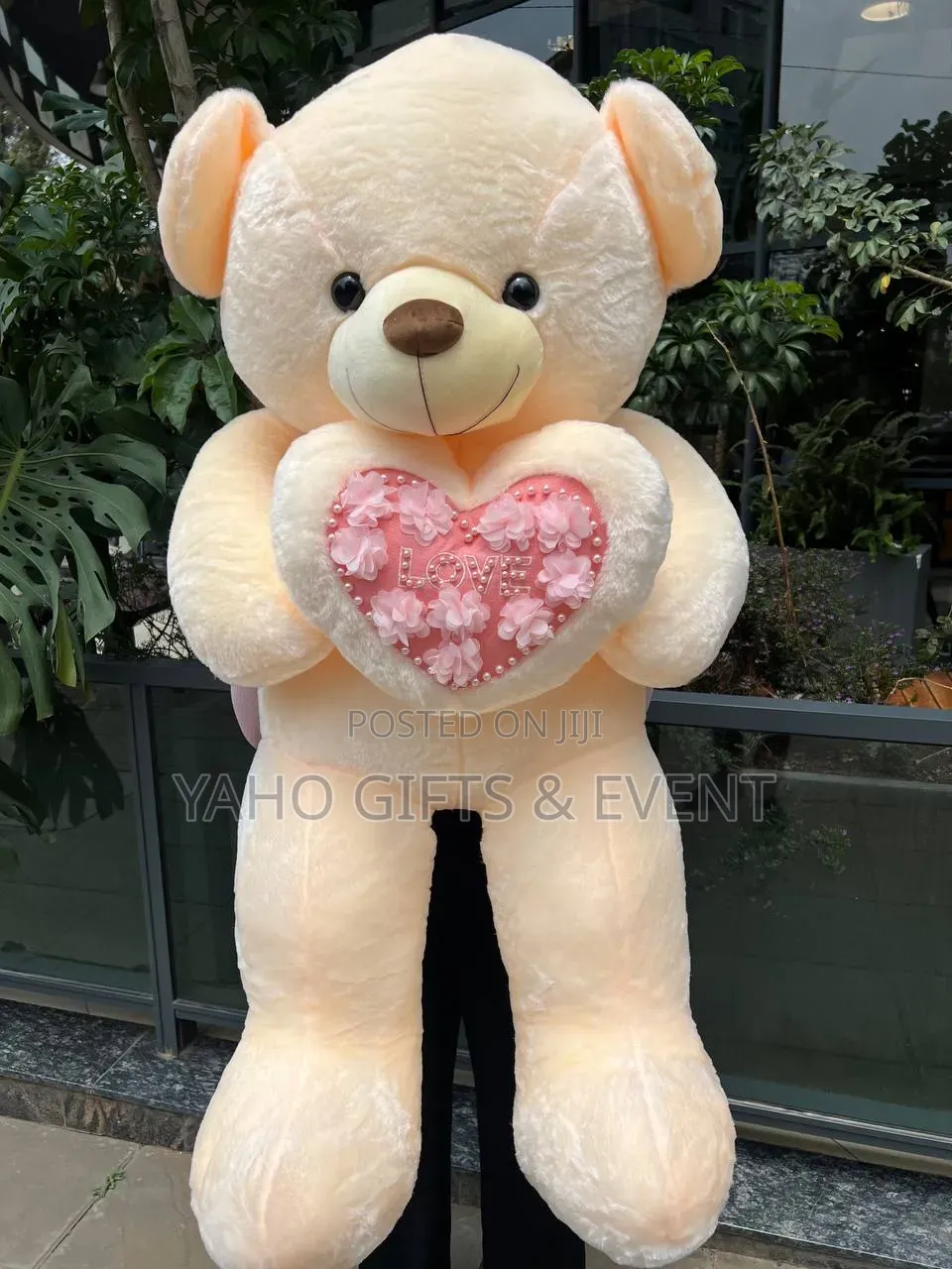 Teddy Bear Quality Foreign