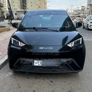 BYD Seagull 2024 Black