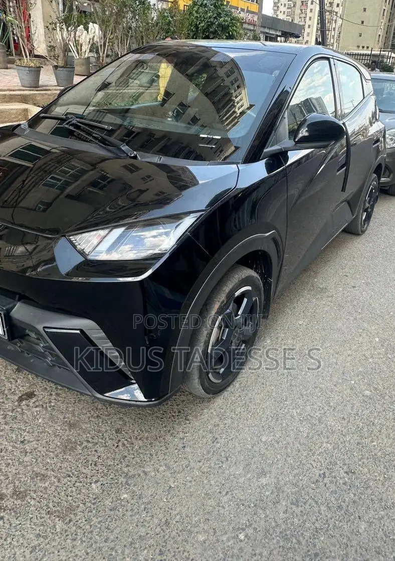 BYD Seagull 2024 Black