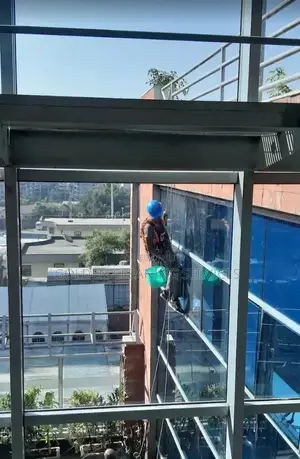 Window Cleaning Service