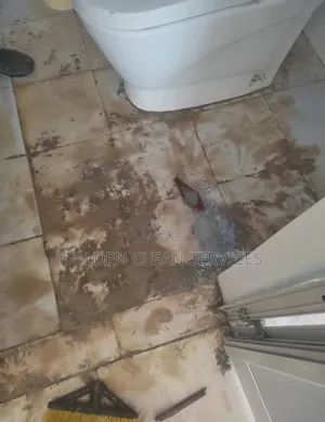 Home Cleaning Service