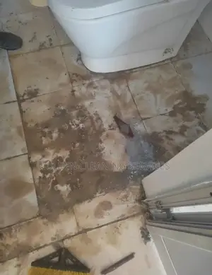 Home Cleaning Service