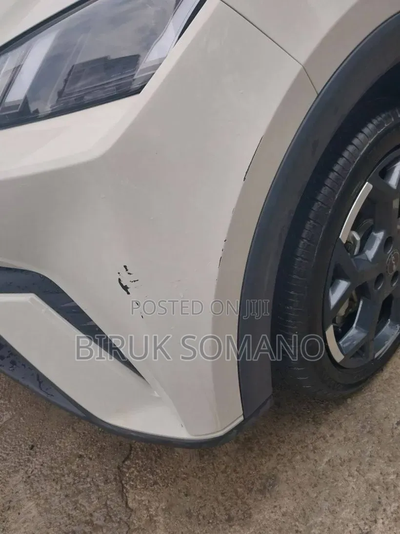 BYD Seagull 2025 Off white