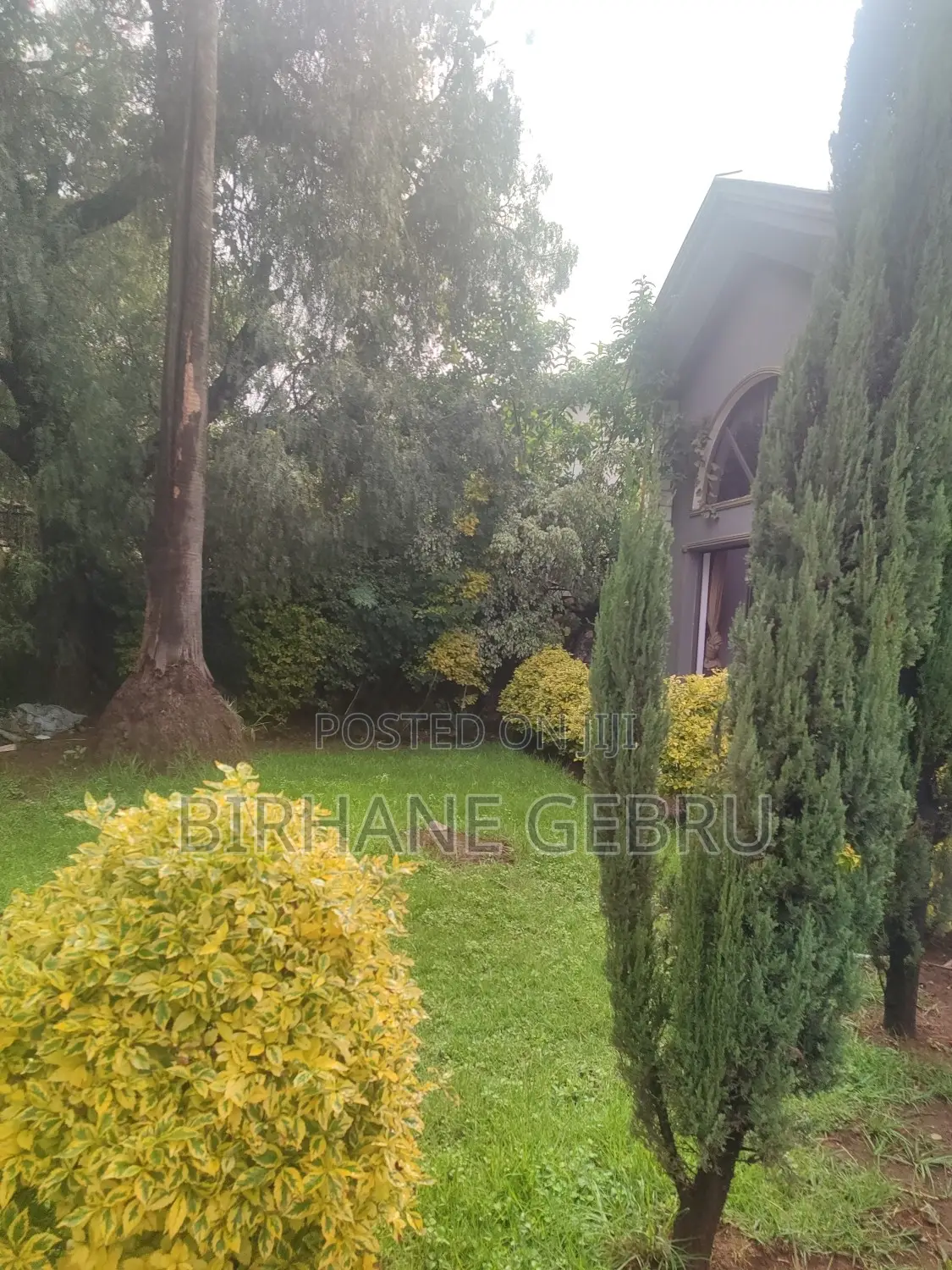 6bdrm House in G+1 House, Bole for rent