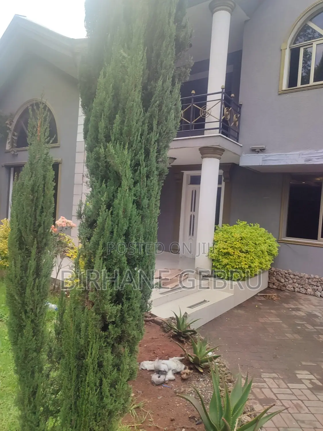 6bdrm House in G+1 House, Bole for rent
