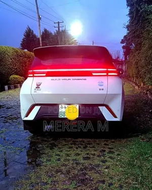 BYD Seagull 2024 White