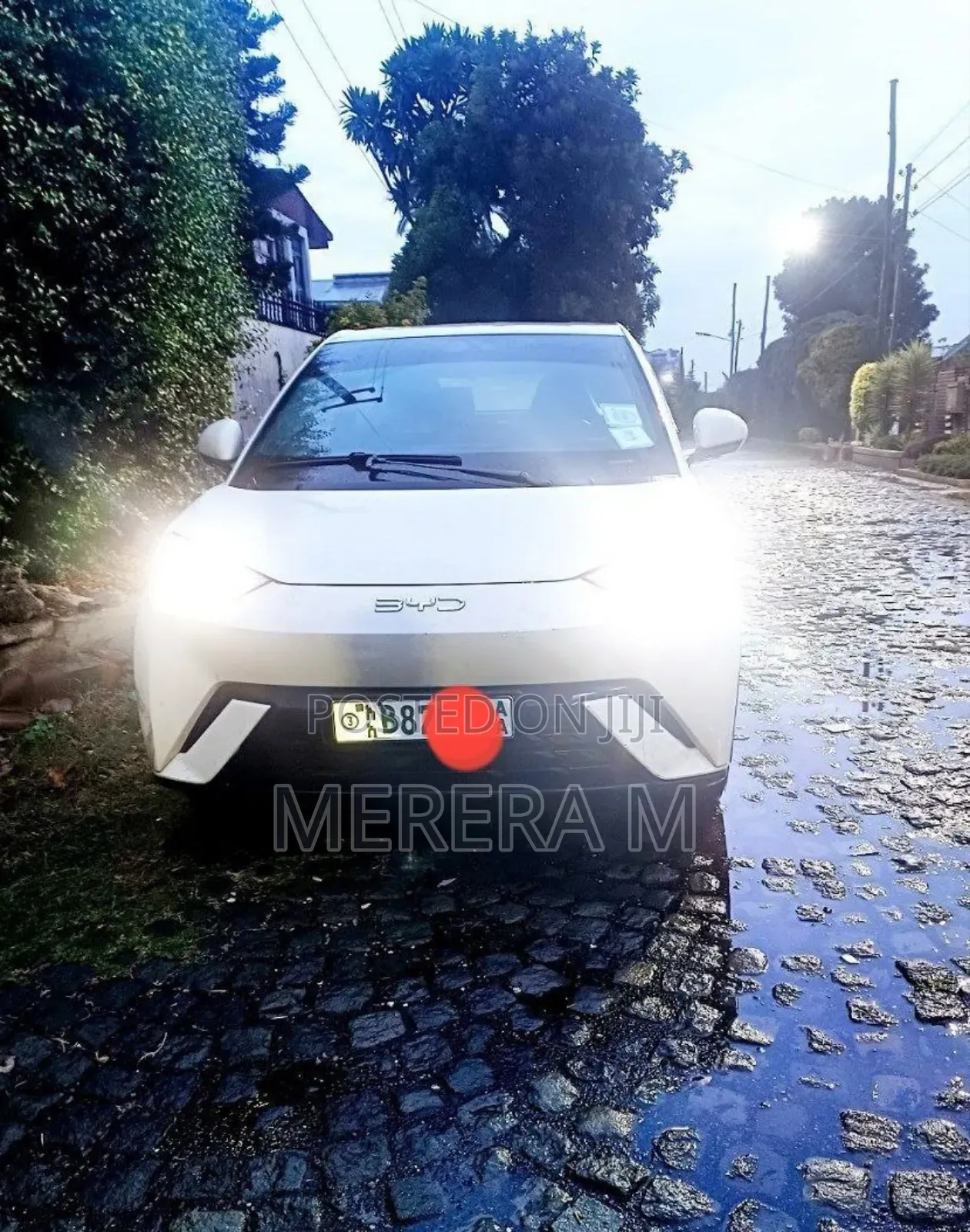BYD Seagull 2024 White