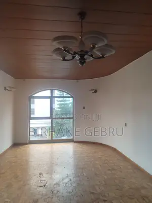 8bdrm House in G+2, Bole for rent