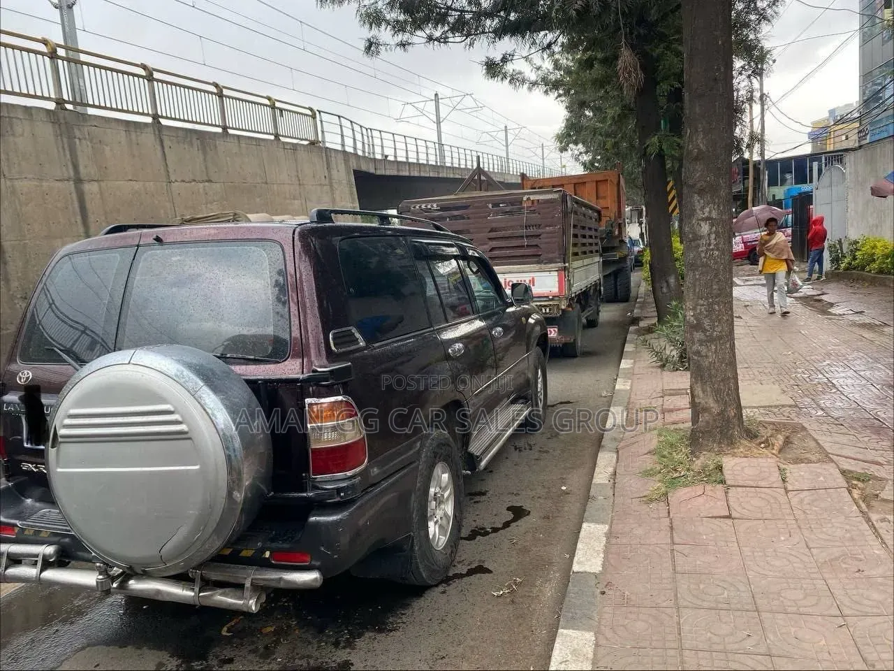 Toyota Land Cruiser 2006 Brown