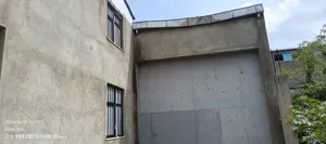 የሚከራይ መጋዝን ወቪድ ቡልቡላ