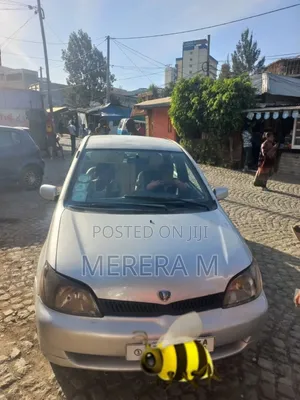 Toyota Platz 2001 Silver