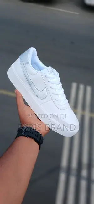 Nike Sb Shose