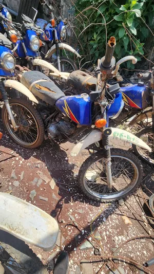 Suzuki 1996 Blue