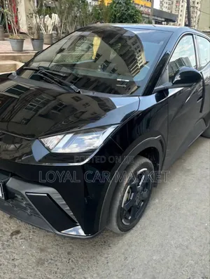 BYD Seagull 2023 Black