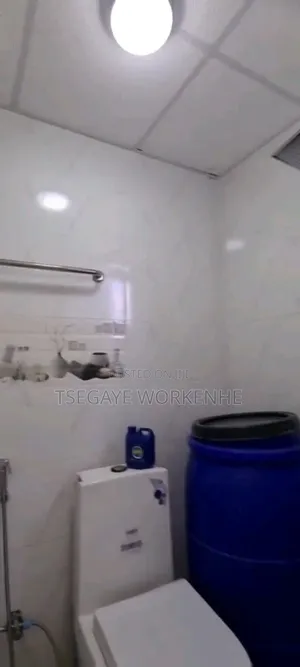 Furnished 3bdrm Condo in አዲስ  አበባ, Lideta for sale
