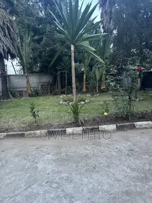 Furnished 3bdrm Villa in Arada for rent