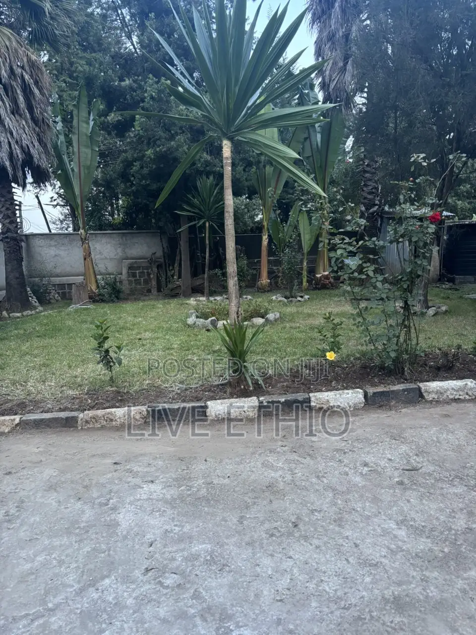 Furnished 3bdrm Villa in Arada for rent