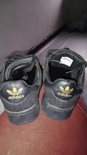 Campus Shoes