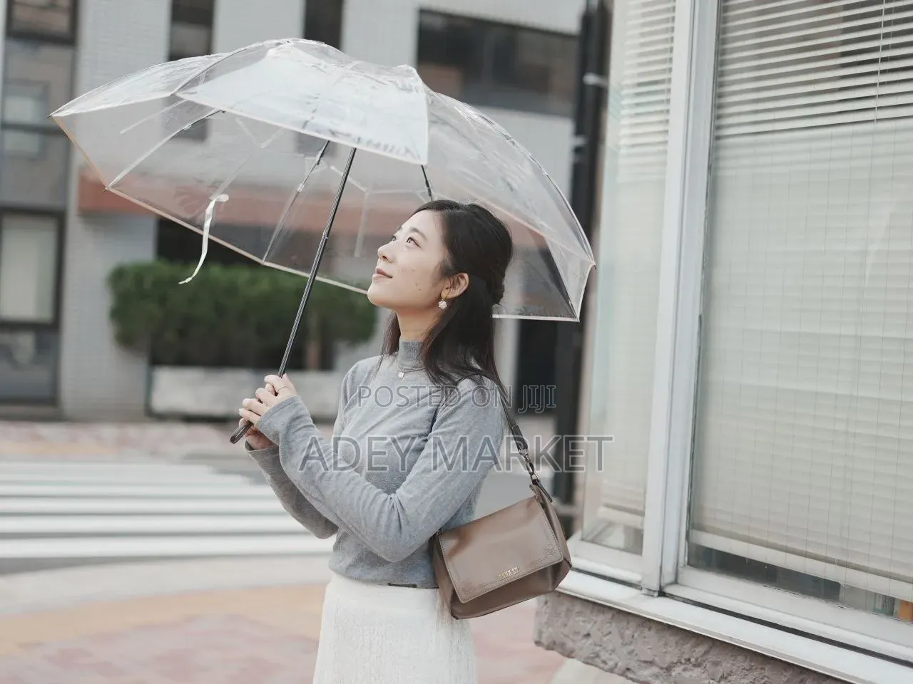 Transparent Umbrella.