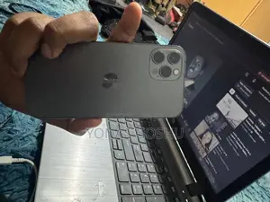 Apple iPhone 12 Pro 256 GB Gray