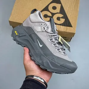 Nike Acg Mountain Fly Low GTX St Shoes