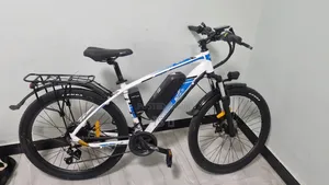 Almost New, Electricity Bicycle, 5 Km 1 Day Used