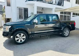 Ford F-150 2020 Gray