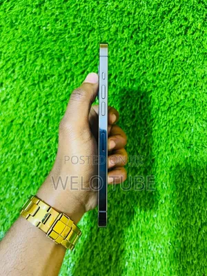 Apple iPhone 12 Pro Max 128 GB Gray