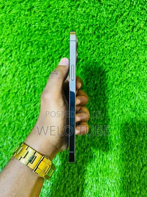 Apple iPhone 12 Pro Max 128 GB Gray