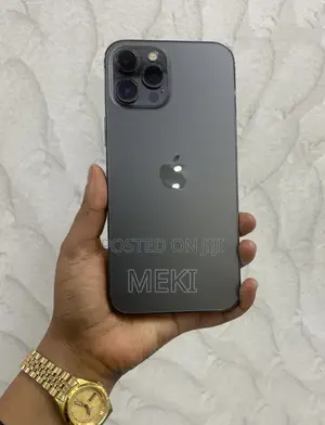 Apple iPhone 12 Pro Max 256 GB Silver