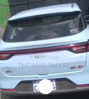 Hozon Neta Aya 2024