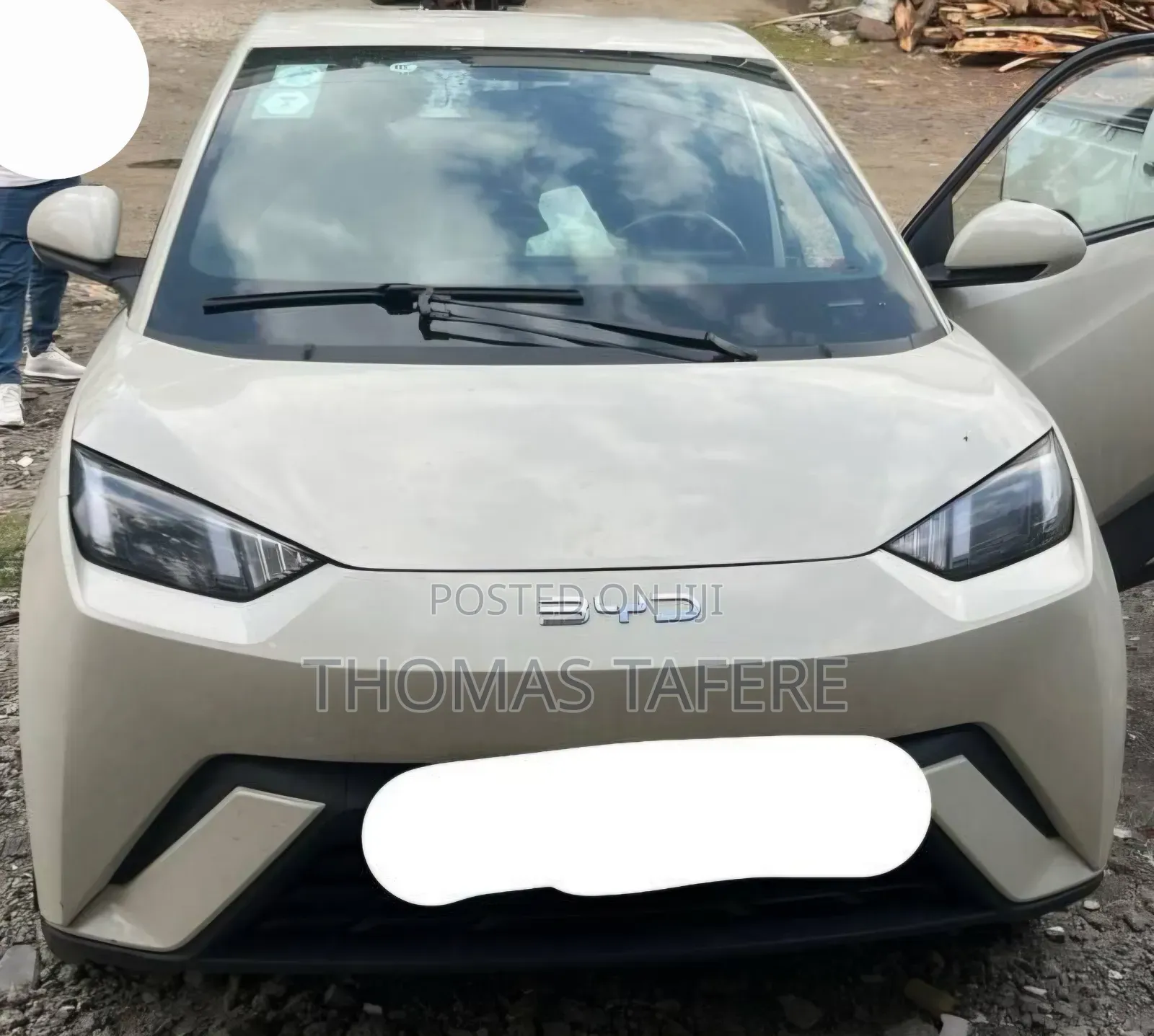 BYD Seagull 2024