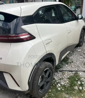 BYD Seagull 2024